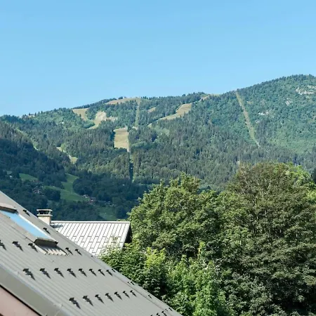 Duplex Cosy 80m2 6 Pers Parking Appartement